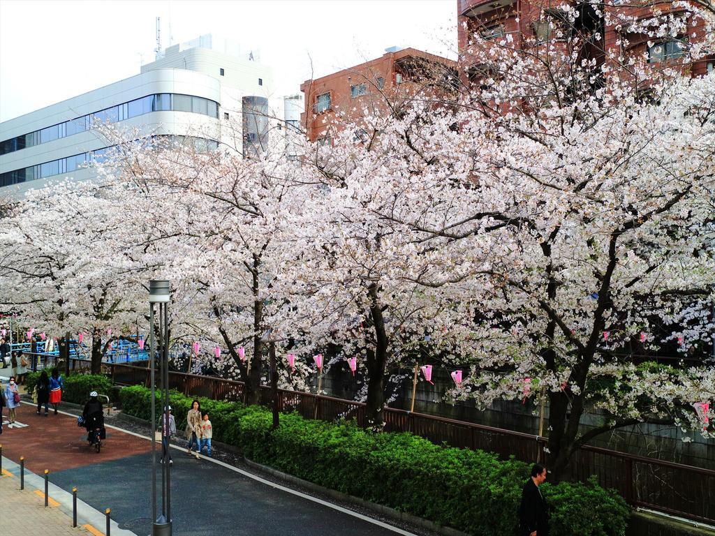 Апартаменти Coto Tokyo Shibuya 2 Екстер'єр фото